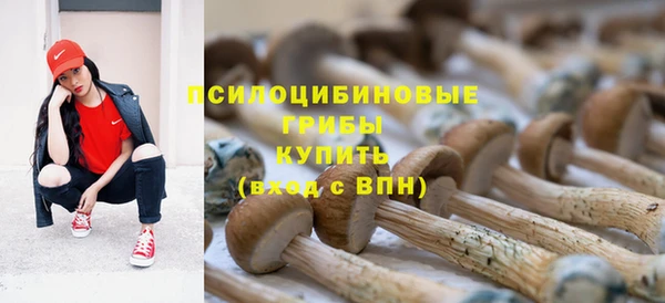 трава Горнозаводск
