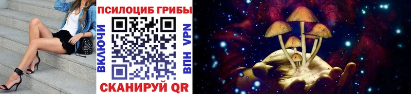 купить наркотики сайты  Красноуральск  Псилоцибиновые грибы прущие грибы 